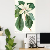 Magnolia III (1750-1773) Poster (Thuiskantoor)