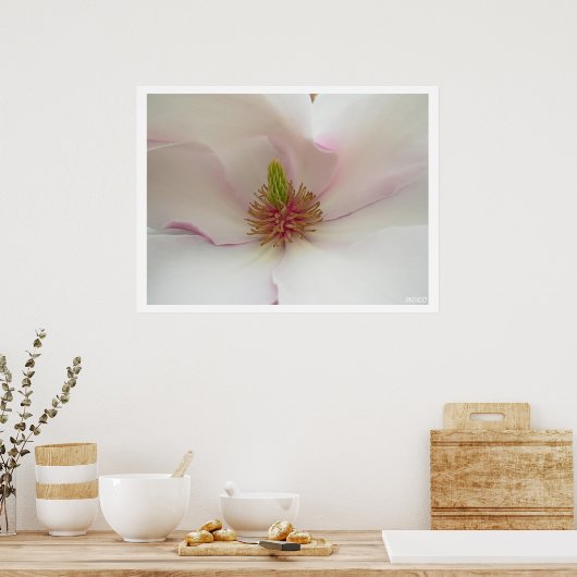 Magnolia Imprimer Poster Fleur Blanche Imprimer (Cuisine)