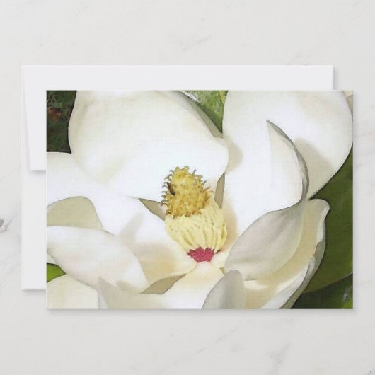 Magnolia Invitation Blanche - L'Art Floral Invite (Devant)