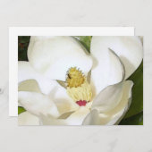 Magnolia Invitation Blanche - L'Art Floral Invite (Devant / Derrière)