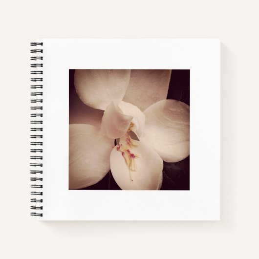 Magnolia Journal Notitieboek (Voorkant)