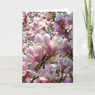 Magnolia Kaart