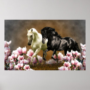 Magnolia Laan - Poster