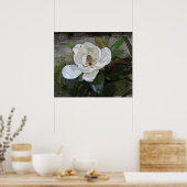 Magnolia Magic Print -24x20 - andere beschikbare f (Keuken)