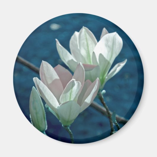Magnolia Magneet (Voorkant)