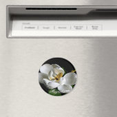 Magnolia Magnet (In Situ (Lave-vaisselle))