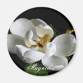 Magnolia Magnet (Devant)