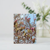 Magnolia Mass of Buds Briefkaart (Staand voorkant)