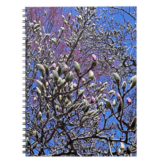 Magnolia, Mass of Buds Notitieboek (Voorkant)