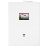 Magnolia Masses (Dos)