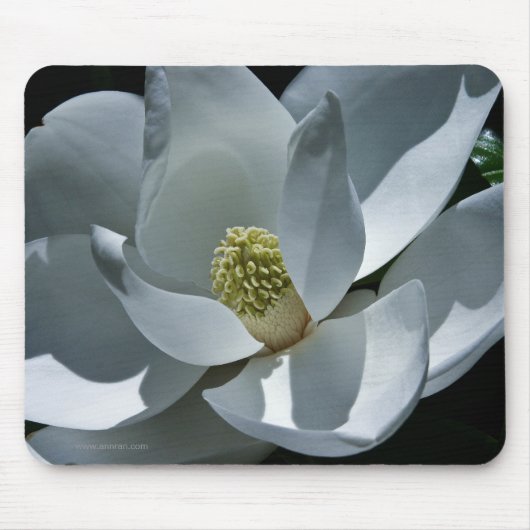Magnolia Mousepad Muismat (Voorkant)