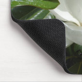 magnolia muismat (Hoek)