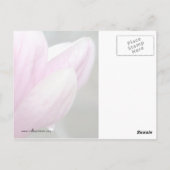 Magnolia na regen briefkaart (Achterkant)