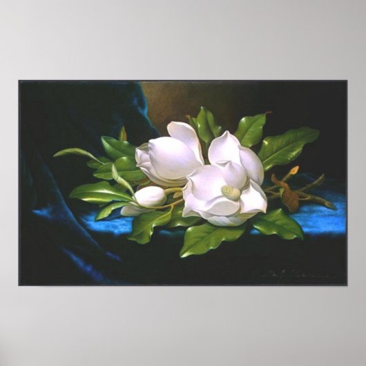  Magnolia (ongeveer 1890) Afdrukken Poster (Voorkant)