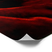 Magnolia op Red Velvet Poster (Hoek)