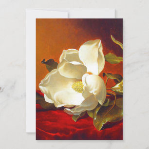 Magnolia op rood fluweel Martin Johnson hoofd Aankondiging