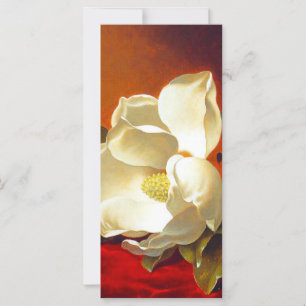 Magnolia op rood fluweel Martin Johnson hoofd Kaar