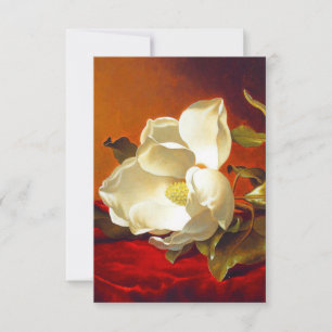 Magnolia op rood fluweel Martin Johnson hoofd RSVP Kaartje