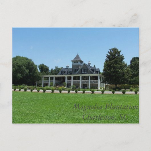 Magnolia Plantation Briefkaart (Voorkant)
