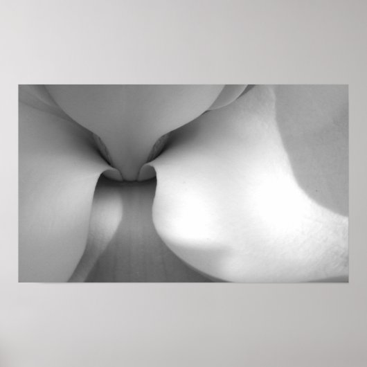 Magnolia Poster (Voorkant)