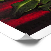 Magnolia Poster (Hoek)