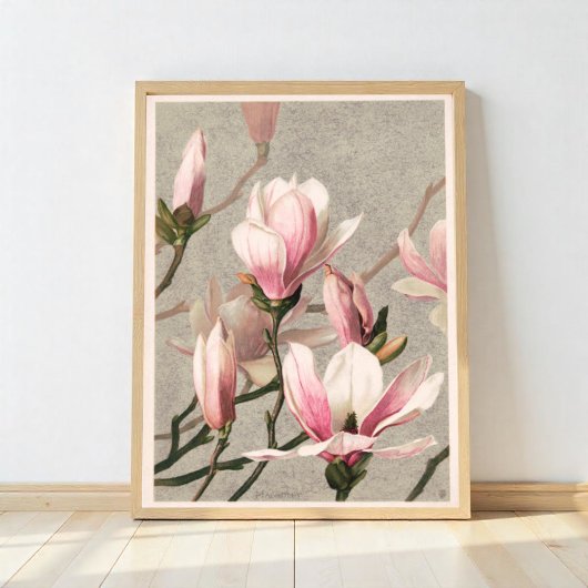 Magnolia Poster