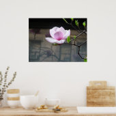 MAGNOLIA POSTER (Cuisine)