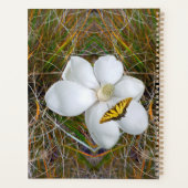 Magnolia Print, Value Poster Paper (Semi-Gloss) (Dos)