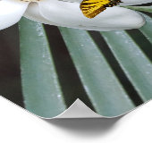 Magnolia Print, Value Poster Paper (Semi-Gloss) (Coin)