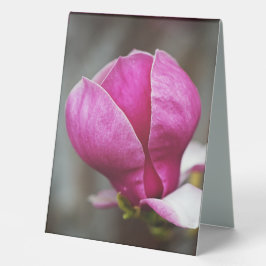 Magnolia Roze Volle Bloei