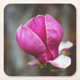 Magnolia Roze Volle Bloei Vierkante Kartonnen Onderzetter
