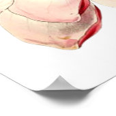 Magnolia Schilting door British Botanist Poster (Hoek)