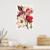 Magnolia Schilting door British Botanist Poster (Keuken)