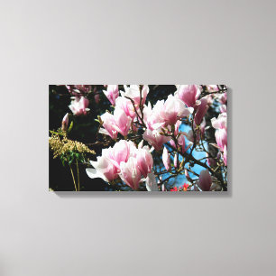 Magnolia Spring Floral Photography Canvas 6 Afdruk