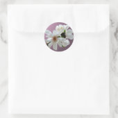 Magnolia Stellata Envelope Seal Sticker (Tas)