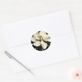 Magnolia - Sticker (Envelop)