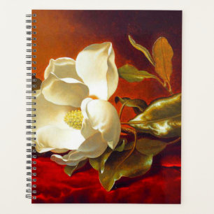 Magnolia sur Red Velvet Martin Johnson Heade