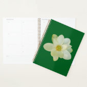 Magnolia sweetbay (Devant avec enveloppe)