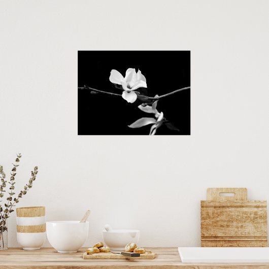 Magnolia tak poster (Keuken)