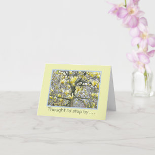 Magnolia Tree Blossom/Soft Moonlight Yellow/hi Kaart
