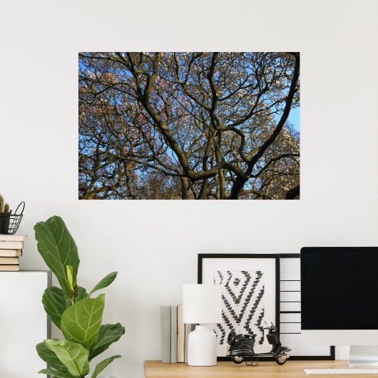 Magnolia Tree Branches Poster (Thuiskantoor)