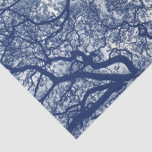 Magnolia Tree - Cyanotype-effect Tissuepapier (Detail)