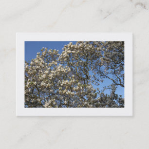 Magnolia Tree in Blossom (Borded) Visitekaartje