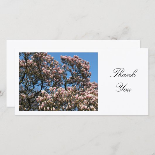 Magnolia Tree in Blossom - Dank u Bedankkaart (Voorkant / Achterkant)
