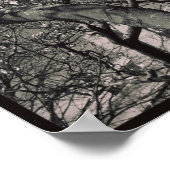 Magnolia Tree Poster (Hoek)