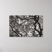 Magnolia Trees in Blossom 02 Canvas Afdruk (Voorkant)