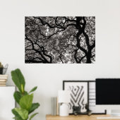 Magnolia Trees in Blossom 02 Poster (Thuiskantoor)