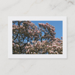 Magnolia Trees in Blossom (Grenzen) Visitekaartje