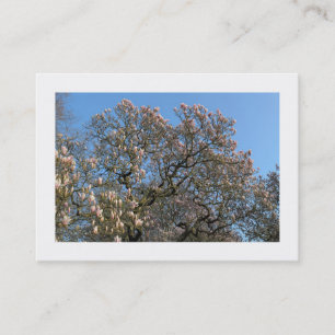 Magnolia Trees in Blossom (Grenzen) Visitekaartje