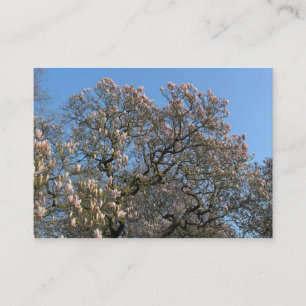 Magnolia Trees in Blossom Visitekaartje